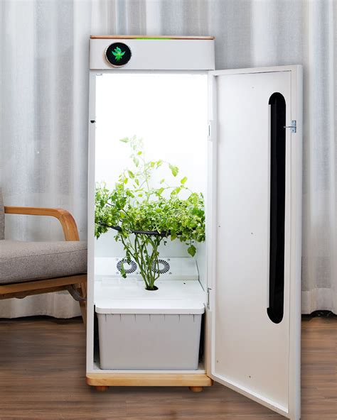 heyabby|commercial automatic hydroponic irrigation system.